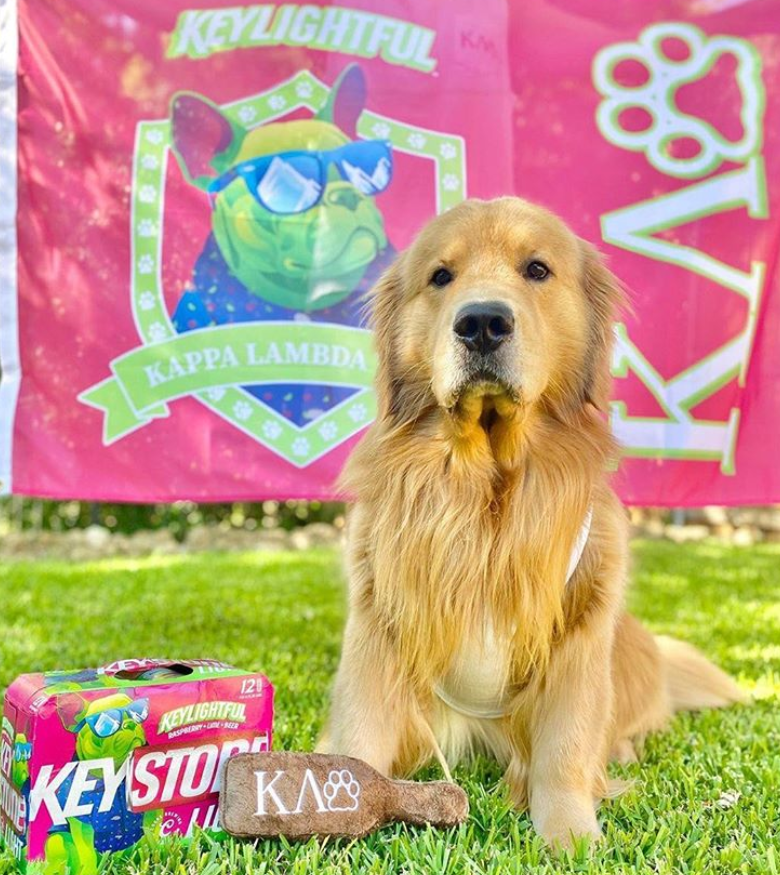 MolsonCoors's tweet photo. What better way to celebrate #NationalDogDay than for your pup to rush Kappa Lambda WOOF, the four-legged frat from #Keylightful? Show us your doggo’s skills by snapping a pic. 

📸: cooper.thegoldenboy (via IG)

Find out more here: https://t.co/LbUWANTZwZ https://t.co/83Hb9SCdRl