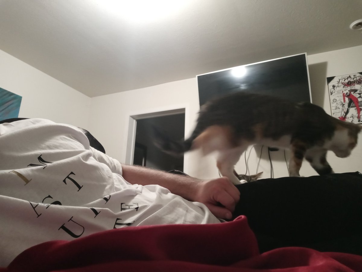 TrimpireLegend's tweet image. Do you mind?