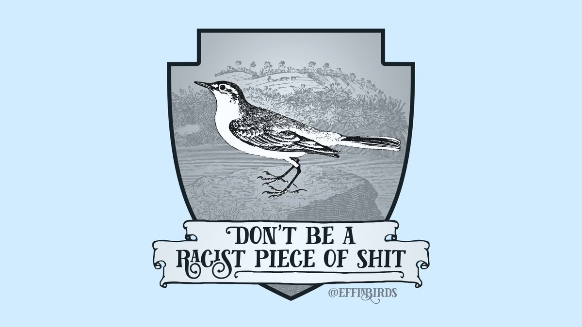 EffinBirds's tweet photo. https://t.co/QCpbcYIjW7