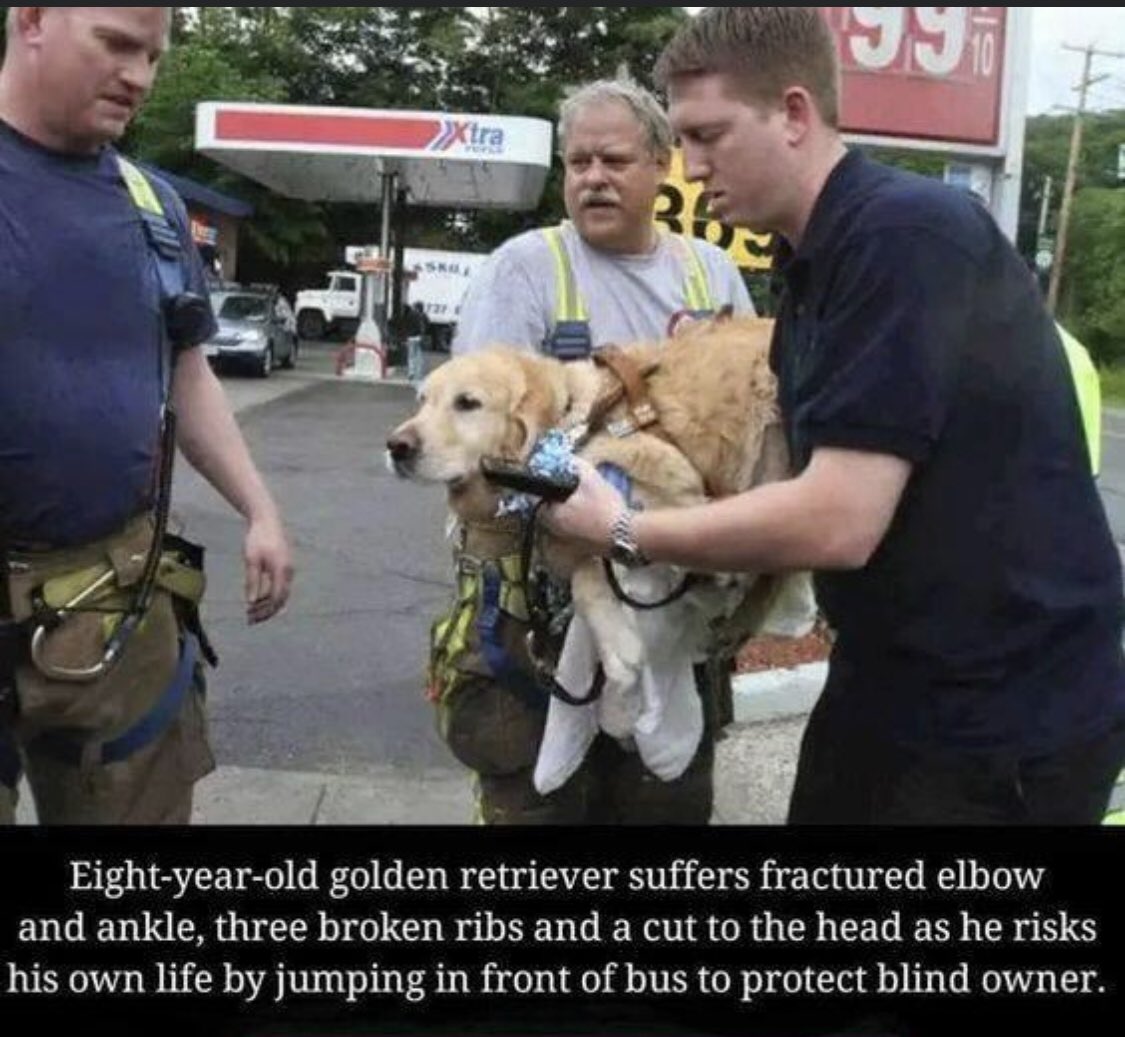 Say a prayer for this brave boy...he's my new Hero. 🙏🙏🙏🙏🙏🙏😥😥😥😥