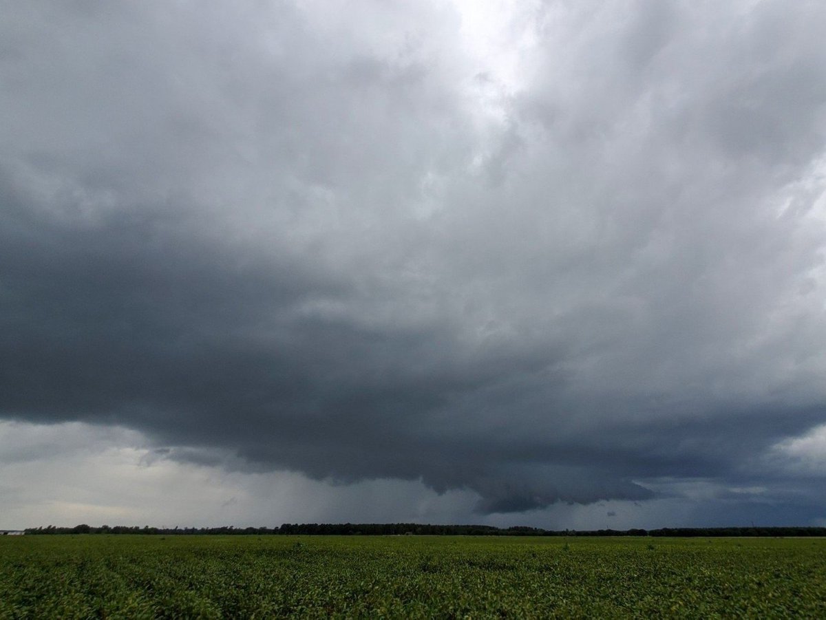 StephenVick10's tweet image. DeRidder, Louisiana 
August 26, 2020