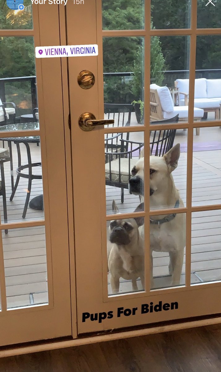 Dr Jill Biden On Twitter Build Bark Better Happy Nationaldogday