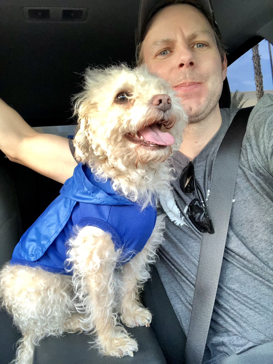 RyanPForan's tweet photo. @ArcadiaUnified @Amber_PR_Info @CourtneyHayata @HryciwAUSD @leilanunez09 @anyayanggg No doubt who may favorite pup 🐶 is! Love 🥰 Styx! #NationalDogDay #StealingStyx #petsofAUSD https://t.co/r3U2IHLQgd