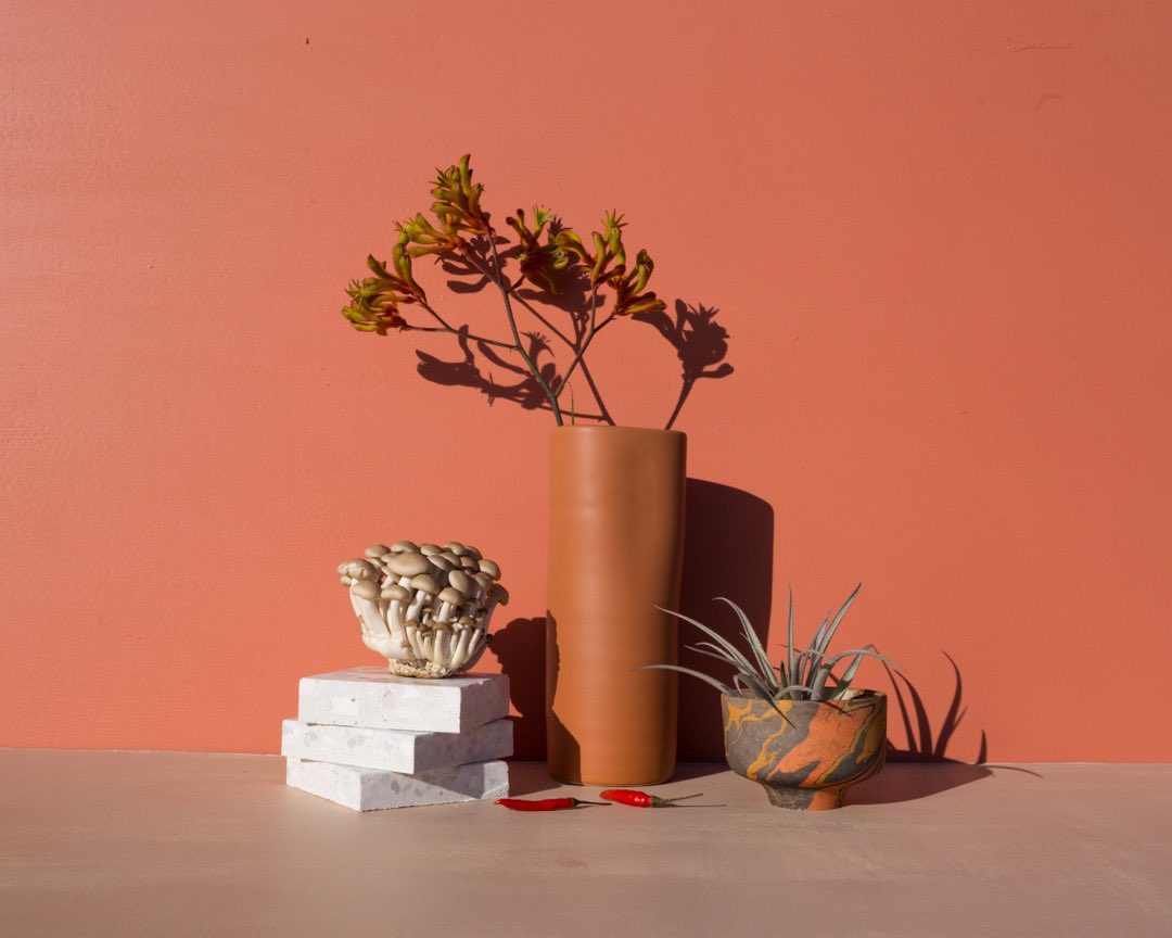 Calivolve tweet media