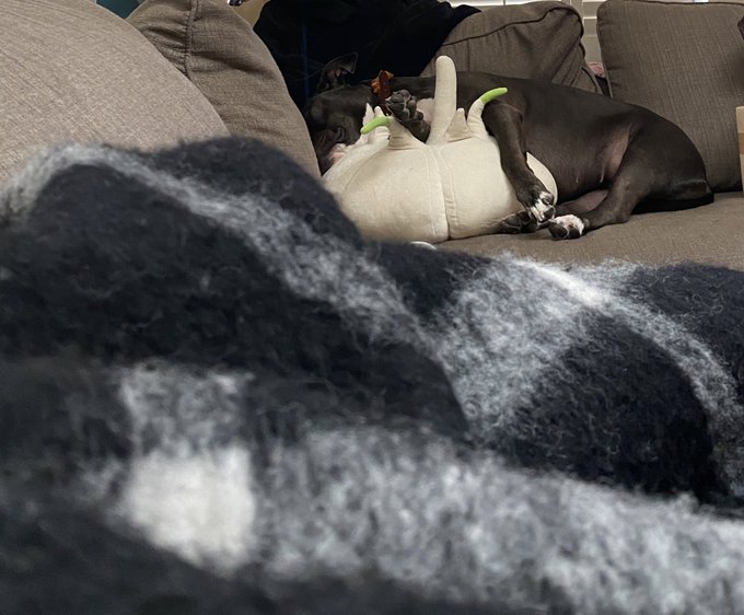 woke up from a nap and everything is (extra) crazy. glad people are striking. angry that someone can