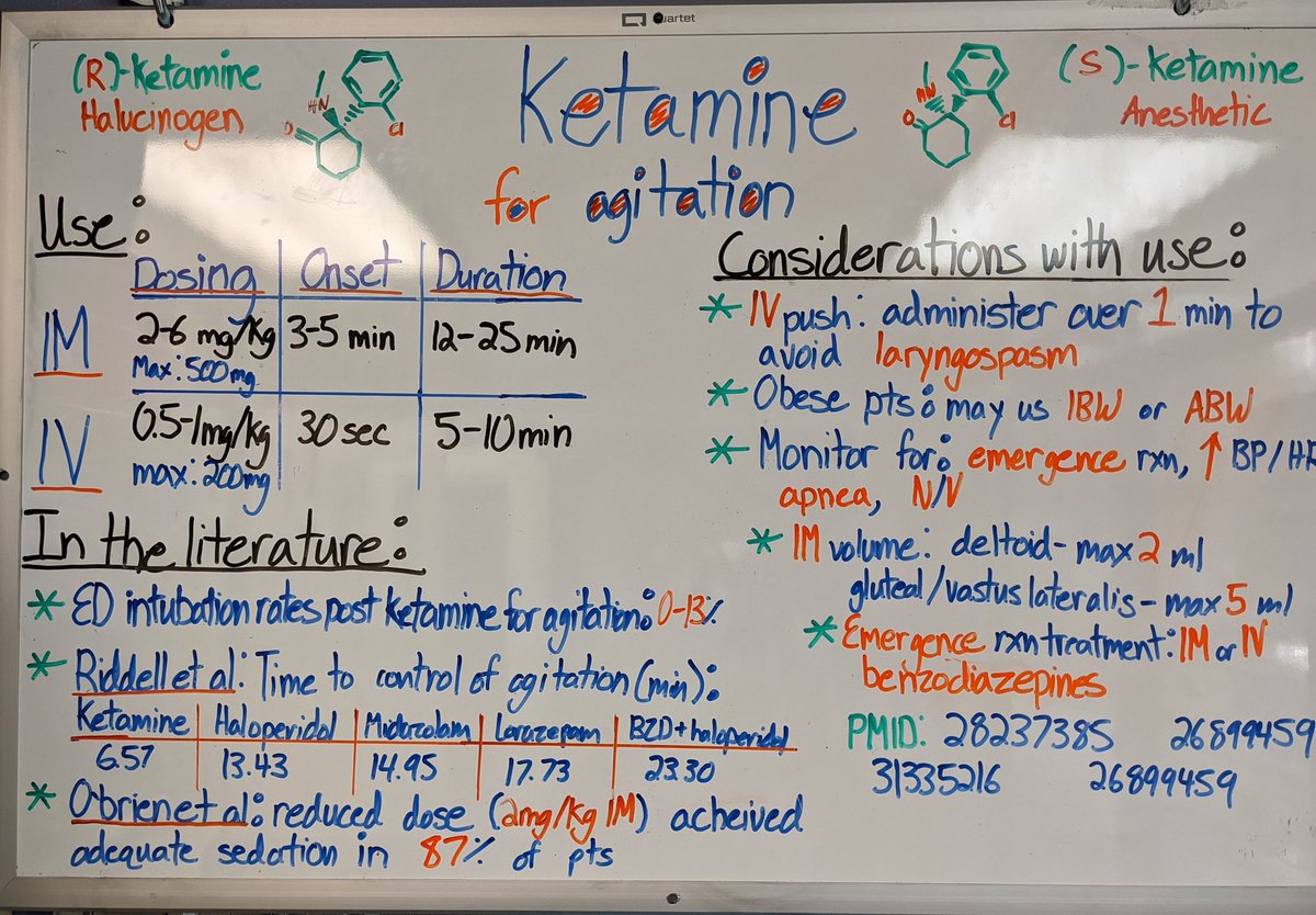 Lauren Stambolic tweet media