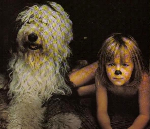 a thread of paul mccartney and martha the sheepdog for  #InternationalDogDay  #NationalDogDay