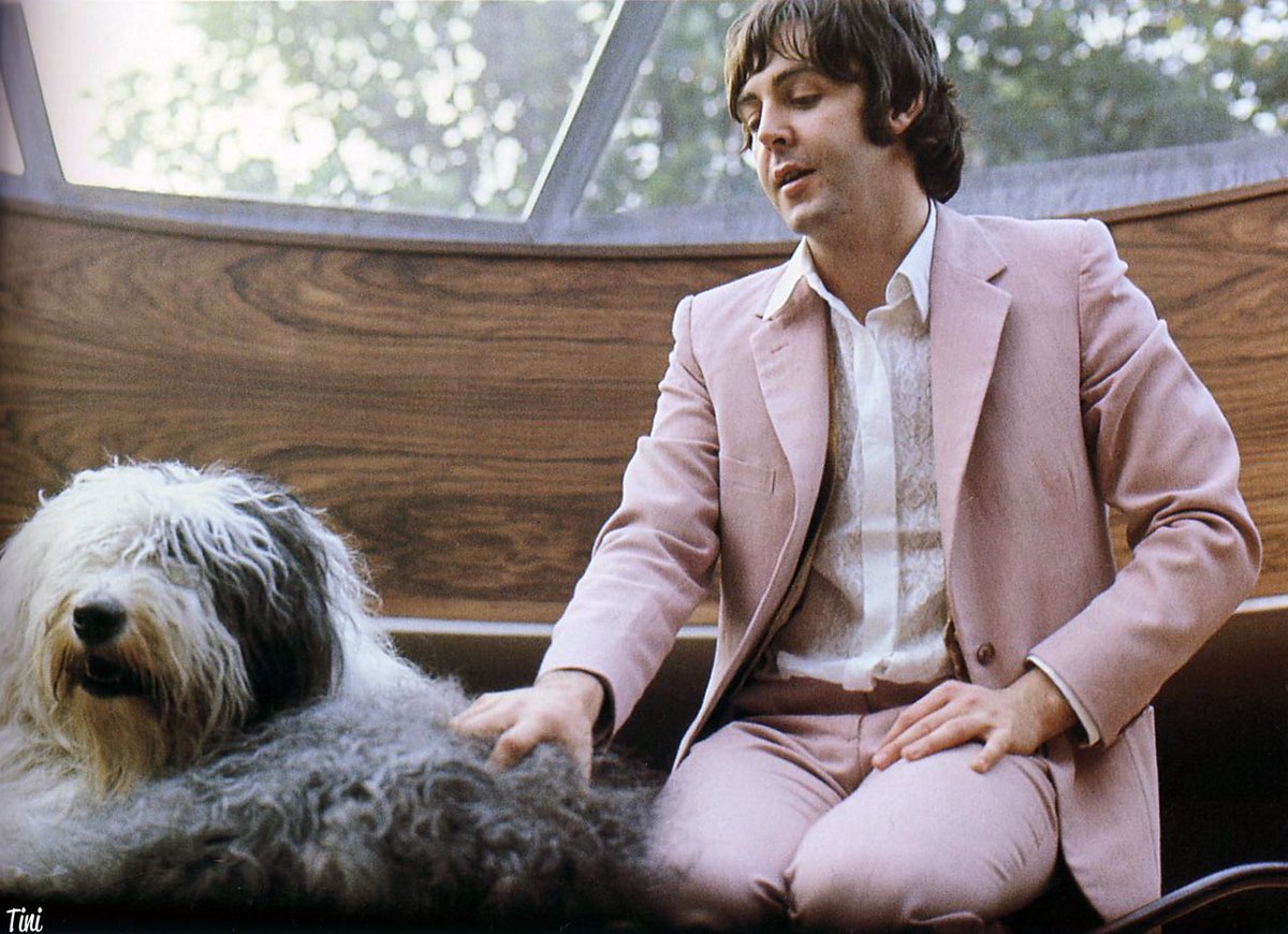 a thread of paul mccartney and martha the sheepdog for  #InternationalDogDay  #NationalDogDay