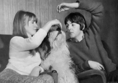 paul (and jane) bought martha in 1966. "Martha was my first ever pet I never had a dog or a cat at home. My parents both went out to work, which was why we couldn’t have any. even when one terrible day they were giving away puppies!"