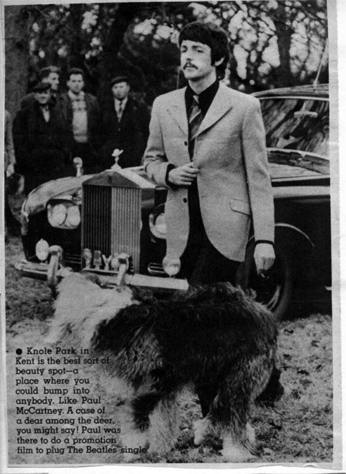 "I remember John being amazed to see me being so loving to an animal. He said, 'I’ve never seen you like that before.’ I’ve since thought, you know, he wouldn’t have. It’s only when you’re cuddling around with a dog that you’re in that mode, and she was a very cuddly dog."