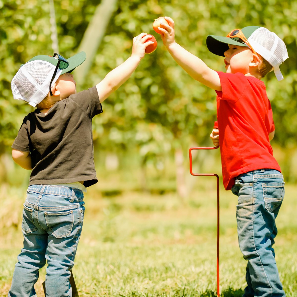 One Rockit™ apple for you, and one for me! #RockitApple #ThinkSmallEatWell #KidApprovedFood