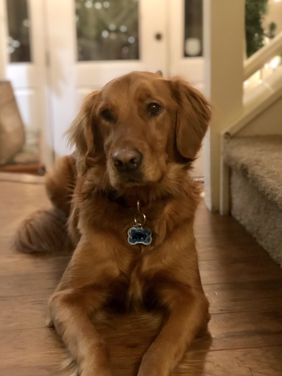 lisahowes tweet media