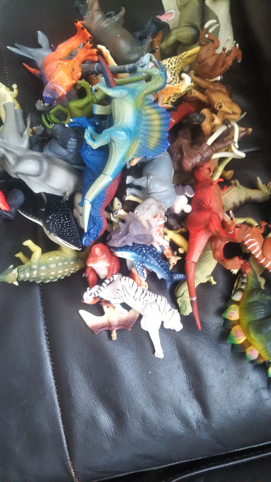 Mana1956 タカラトミー Takaratomytoys 様 収納 できるライオンバスもありますが 恐竜大好きな息子のために恐竜の持ち運びできるアニア収納箱発売してください 我が家のアニアたちちゃんと大事にしまってあげたい アニア 恐竜 T Co