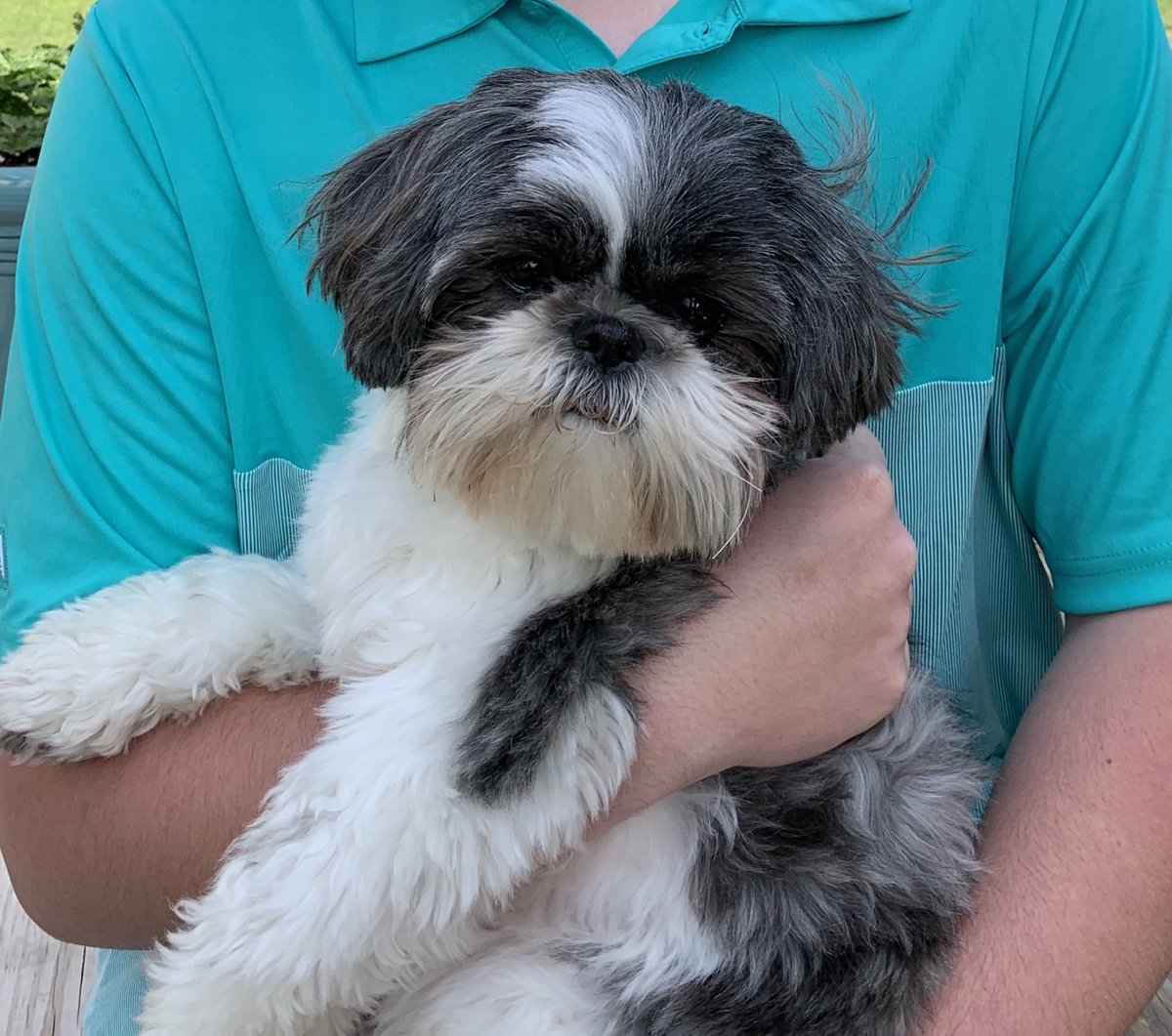 #NationalDogDay #AlwaysDownForAGoodNap #GoodBuddy