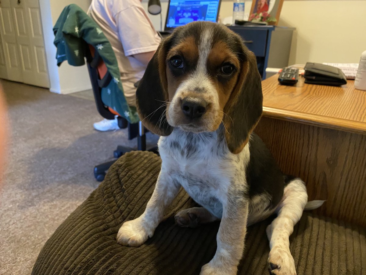 Here my girl, bella
