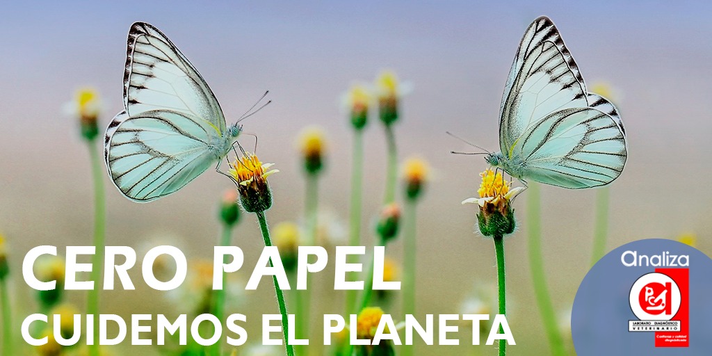 En #Laboratorio #Veterinario #Analiza estamos conscientes del #daño actual que presenta el #planeta, los invitamos a sumarse a nuestros 
#procesos con 0 #papel. 

#Conoce más de #Laboratorio #Veterinario #Analiza

💻Entra a: bit.ly/2ZVTUqA