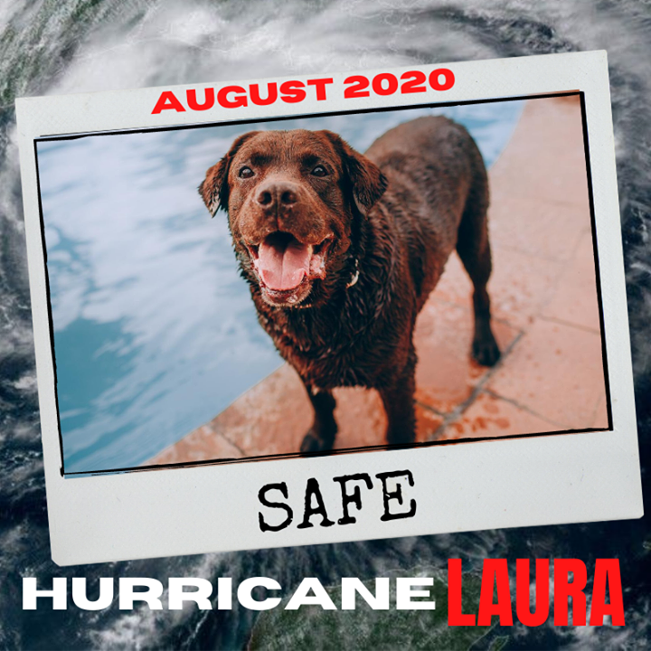 HurricanesPets's tweet photo. Facebook link: https://t.co/sE7kRfvAvo https://t.co/V3mUjFCZen