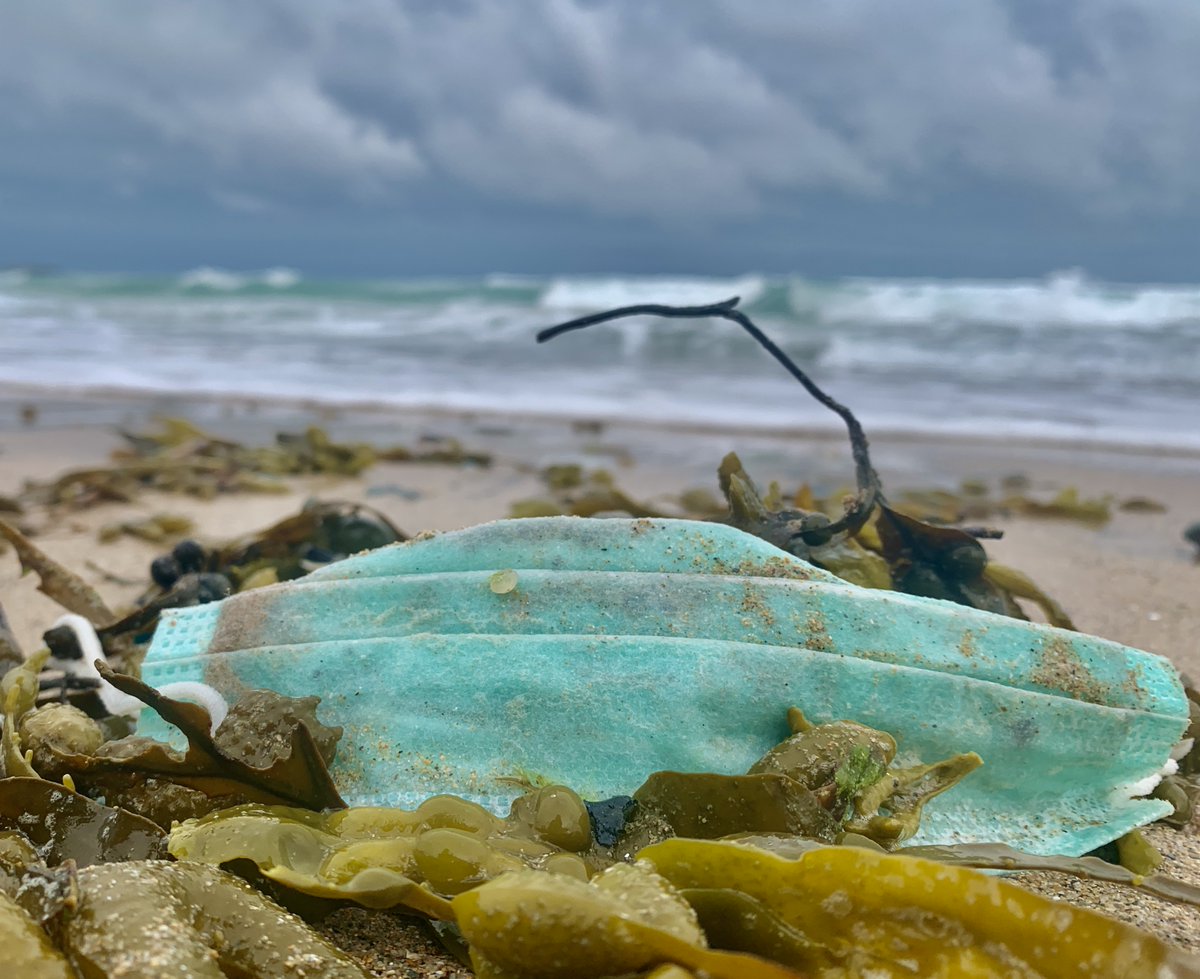 Lego Lost At Sea tweet media