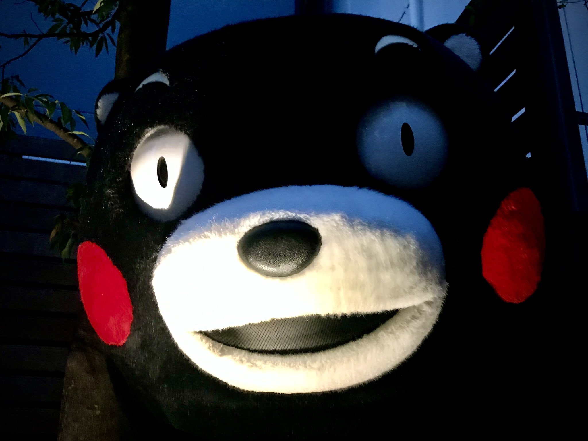 くまモン東京スタッフ 公式 今日の一枚 うらめしや まだしばらくは残暑が続きそうですね そんなみなさんに背筋ひんやり な ホラー をお届け 涼を感じて暑い日をを乗り切りましょう くまモン メイキンぐま T Co Xopipfeewl