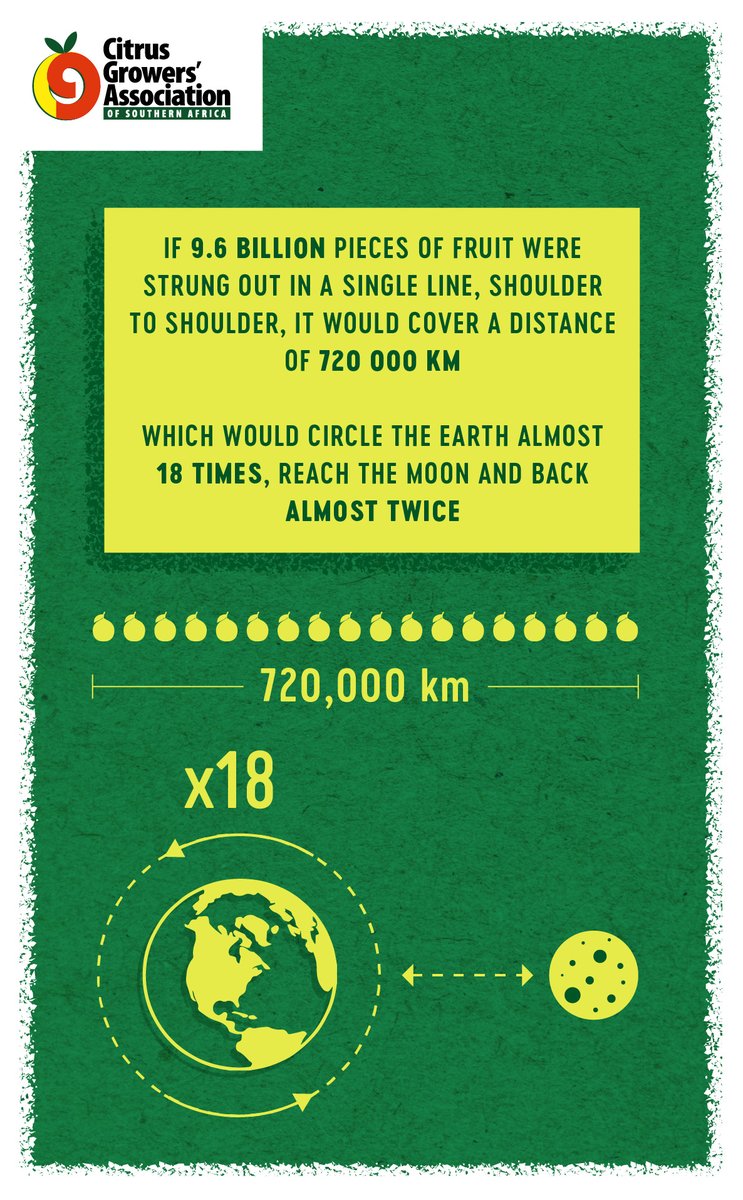 In 2018 South Africa exported 2 million tonnes of citrus. It is often hard to explain just how much fruit this is - and so we have turned to infographics. In 2020 this volume is predicted to hit 2.15 million tonnes. This is a lot of fruit!!