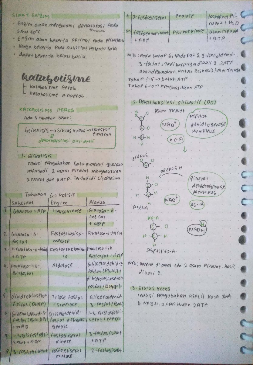 blckcrrntyx's tweet image. Karena temen sekelasku abis minta catatan jadi sekalian aja aku upload disini
BIOLOGI XII - METABOLISME
Sumber: pahamify, sks ipa, bigbook bio cmedia