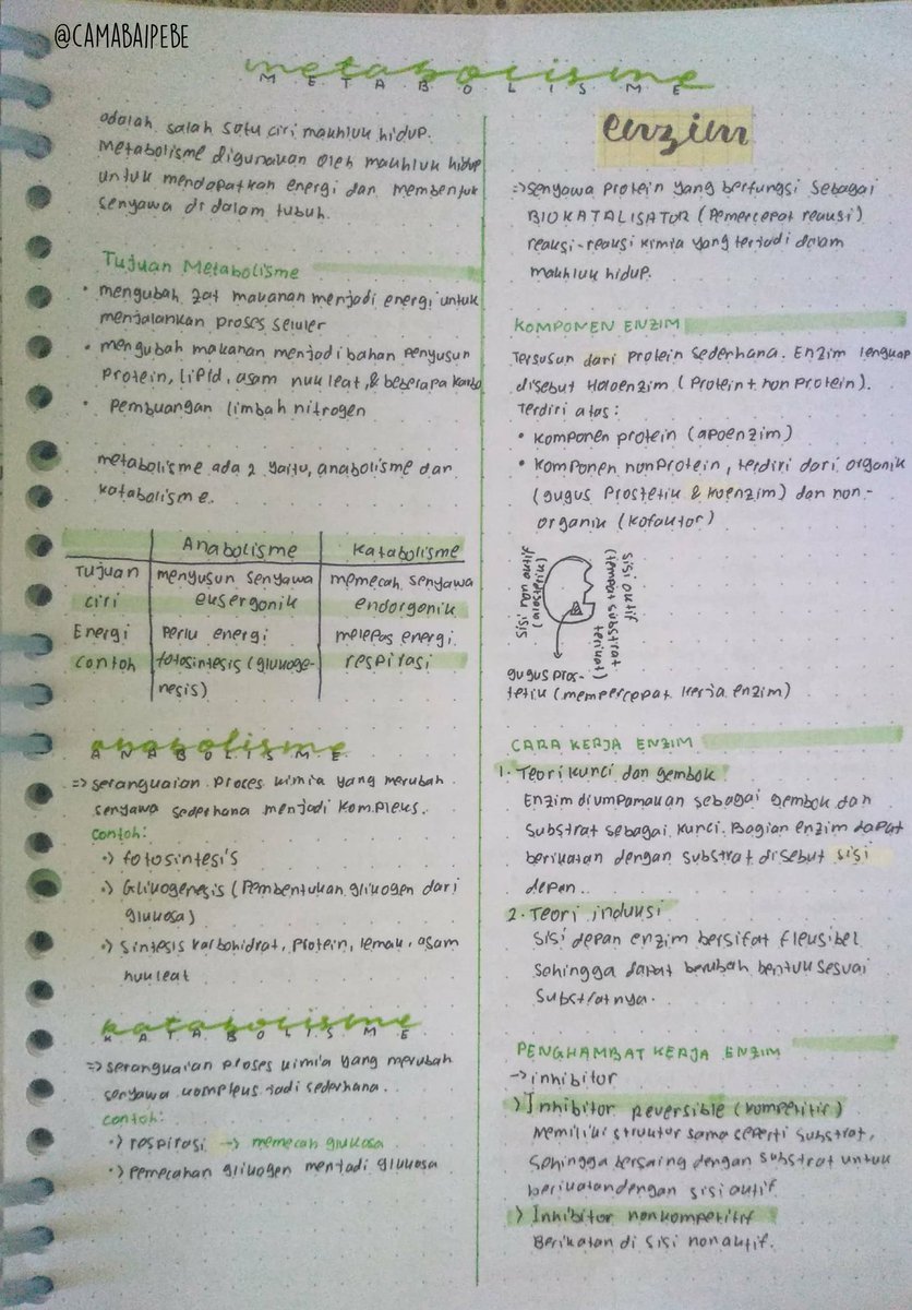 blckcrrntyx's tweet image. Karena temen sekelasku abis minta catatan jadi sekalian aja aku upload disini
BIOLOGI XII - METABOLISME
Sumber: pahamify, sks ipa, bigbook bio cmedia