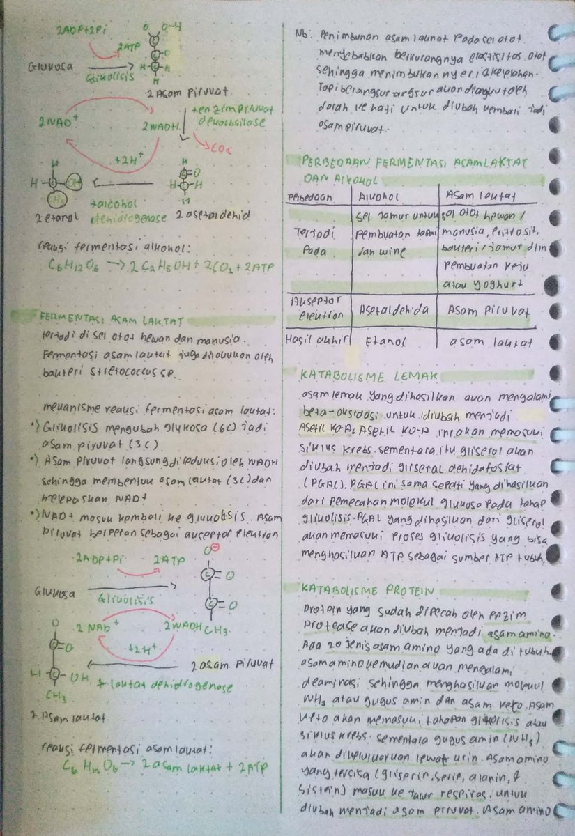blckcrrntyx's tweet image. Karena temen sekelasku abis minta catatan jadi sekalian aja aku upload disini
BIOLOGI XII - METABOLISME
Sumber: pahamify, sks ipa, bigbook bio cmedia