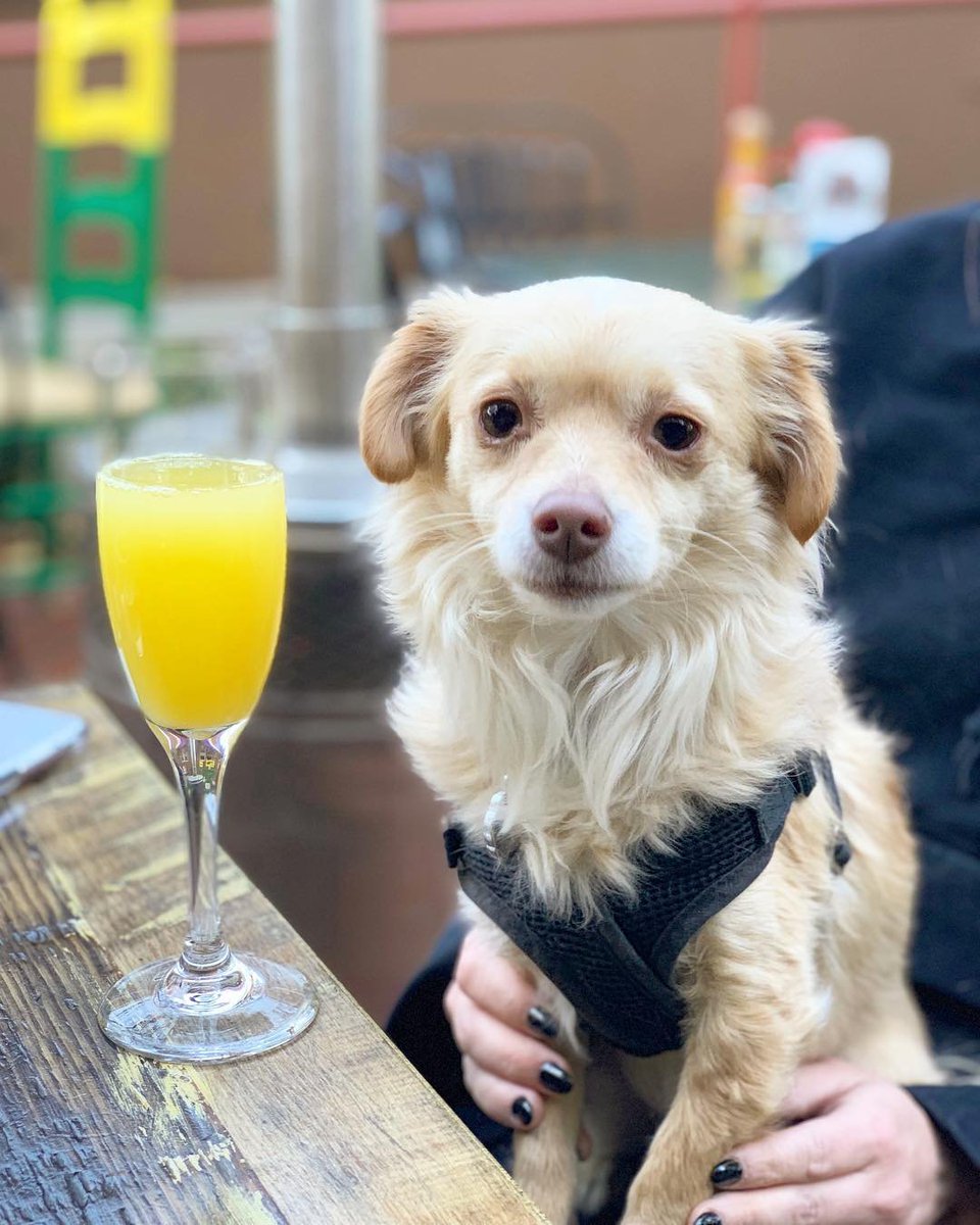 5SOSBrazil's tweet image. A sensação que essa foto passa... 🍸 💰