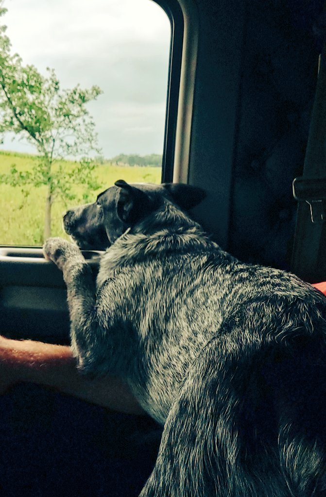 Mitch Butterfield tweet media