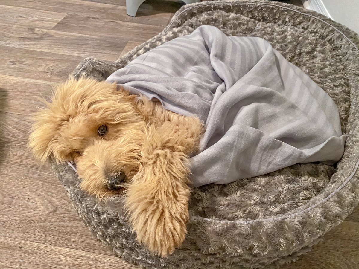 AC. ⚓️ tweet media