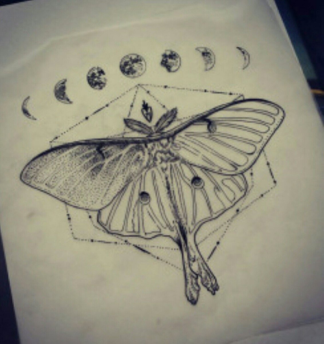 Luna Moth Night by CamDenbyDesigns on DeviantArt