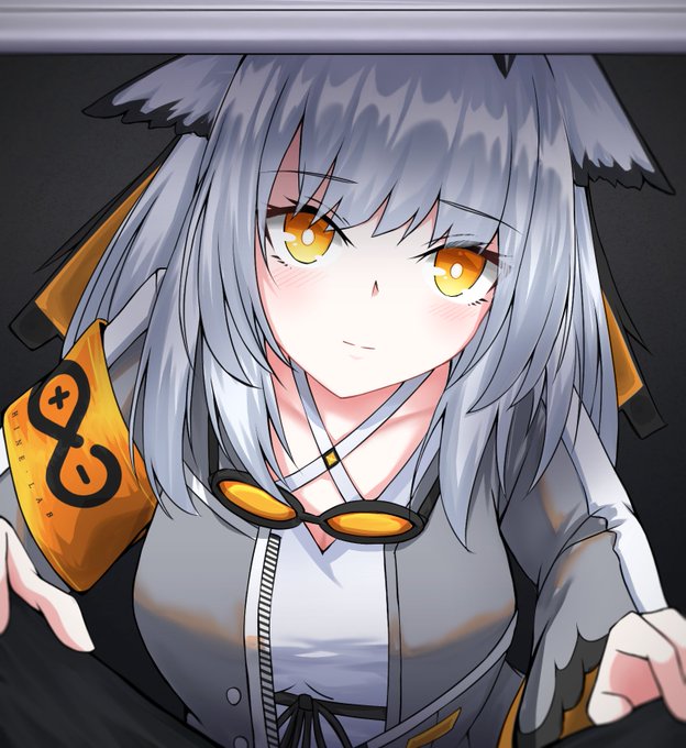 アークナイツ　フィリオプシス　通行認証　明日方舟 Ptilopsis New Skin | Arknights/明日方舟 フィリオプシスの