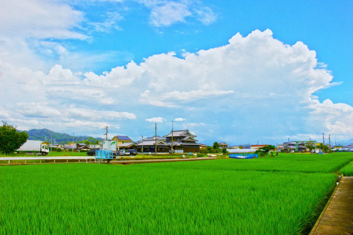 keioka7's tweet photo. 最近の編集です。ちょっと自信作だったり #写真 #絵画加工 #photo https://t.co/K2GUg2cU4f