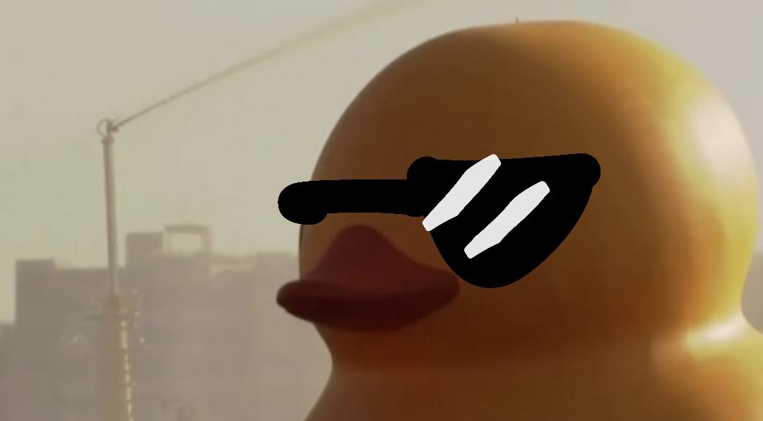 duck rad