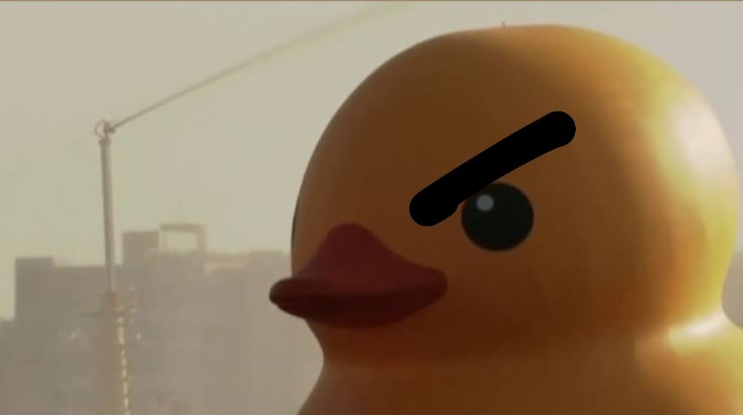 duck mad