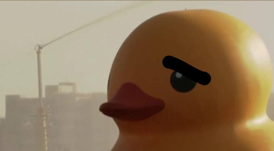 duck sad