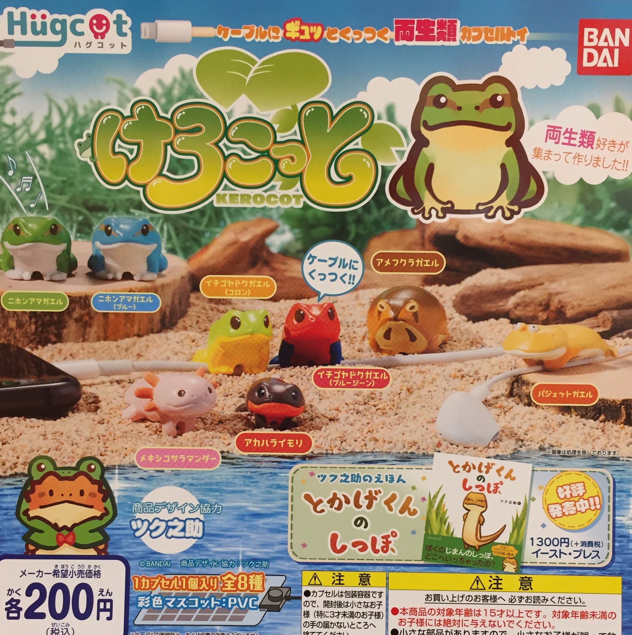 イチゴヤドクガエル　ブルージーン　３匹セット① イチゴヤドクガエル ブルージーン 3匹セット①