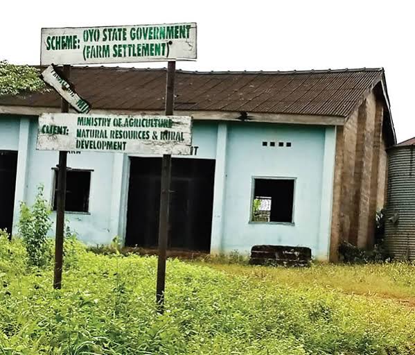Lack of infrastructure is another problem facing Nigeria farmers, when u take a visit to our various farm settlement, what you witness is a dilapidated structures. The road network to our food source is not accessible. No light, no water.  @seyiamakinde  @RotimiAkeredolu