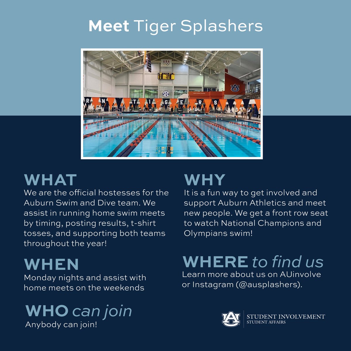 AUinvolve's tweet image. ❓Get to know the 5 Ws of @ausplashers #orgspotlight #organizationspotlight