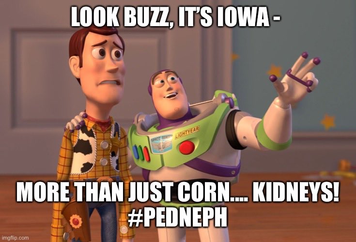 uiowapedneph's tweet photo. @JasonMi6 @KLS_leeson @IssaAlhamoud @atomic_kidney https://t.co/13gCDxPrYd