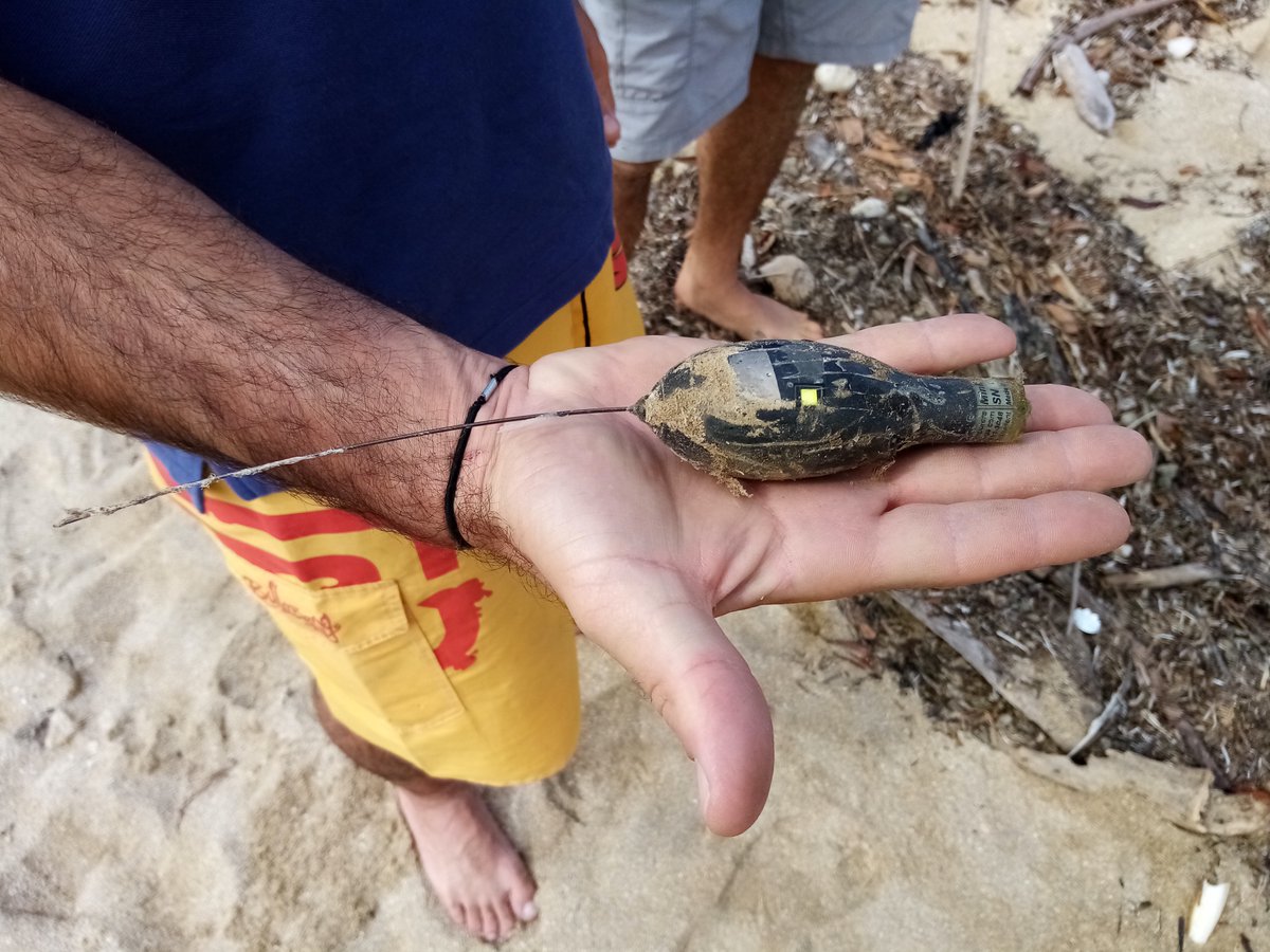 InitiativeManta's tweet photo. #TAG RECOVERED !! 
The team went to retrieve a tag that washed up on Coconut Island 🏝 in Arama Bay.
This tag was on the back of Manta BILLY for 6 months!
We will have a lot of #data to analyse now, we can learn more about its diving behaviour and movements ! https://t.co/U3WKsYLrVP