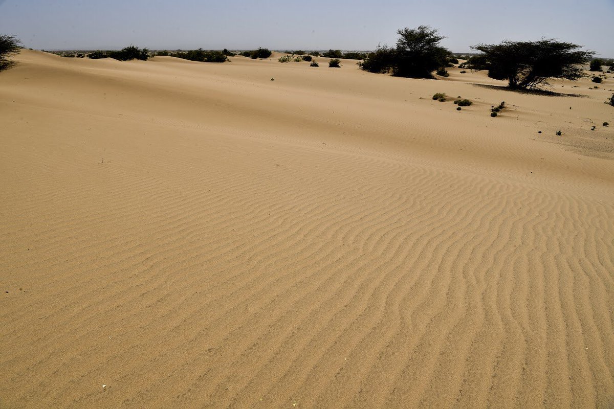 hikemaniak's tweet photo. Time to face North this time chasing sunsets of Loiyangalani Lake Turkana and sand dunes of Chalbi desert. A climbers special at Mount Poi. Take a pludge into Ngurunit rockslides to cool off. This is the North ..lets live it magic this September
📸Credit; @Versatilepics https://t.co/ZggjRkunFQ