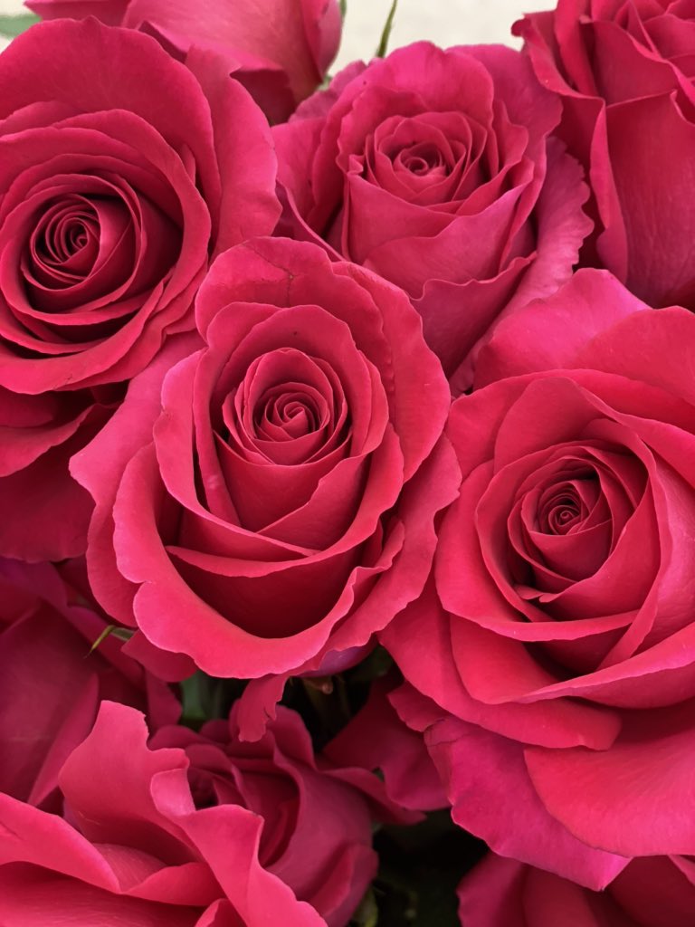 Today, I wired dozens of flowers for a casket piece my mom has to make for a 25 year old woman who was raped & murdered while jogging. Half a mile from her home. By someone she knew. No words. I’m inclined to say “women be vigilant” but this wasn’t #SydneySutherland’s fault.