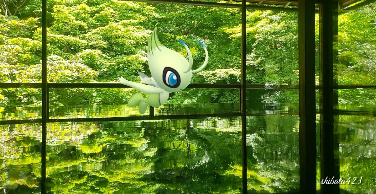 Shibata423 ちばた うさだぬがいいねかrtするタグ 便乗します ポケモンar写真京都 ポケモンgo Gosnapshot 好きなようにgoしよう Sbt08 楊谷寺 瑠璃光院 円山公園 北野天満宮