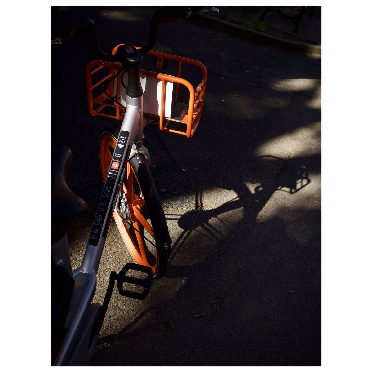 sydvivavoce's tweet photo. Notes to myself #streetphoto #randomthoughts #urbanlife #sydney #bigsmoke #streetlife #streetphotography #GR3 #GRIII #Ricoh #colornotes #snapwithGR3 https://t.co/efX0EykOeB