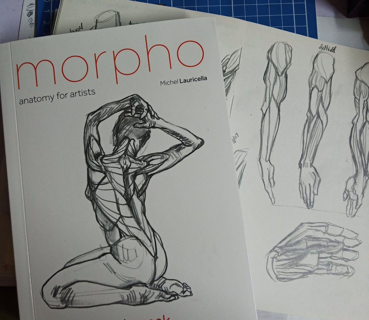 I'm learning how to draw Titans jk. It's more of understanding anatomy... and I hope I'm learning something by copying them hehe

Book: Morpho Anatomy for Artists by Michel Lauricella 