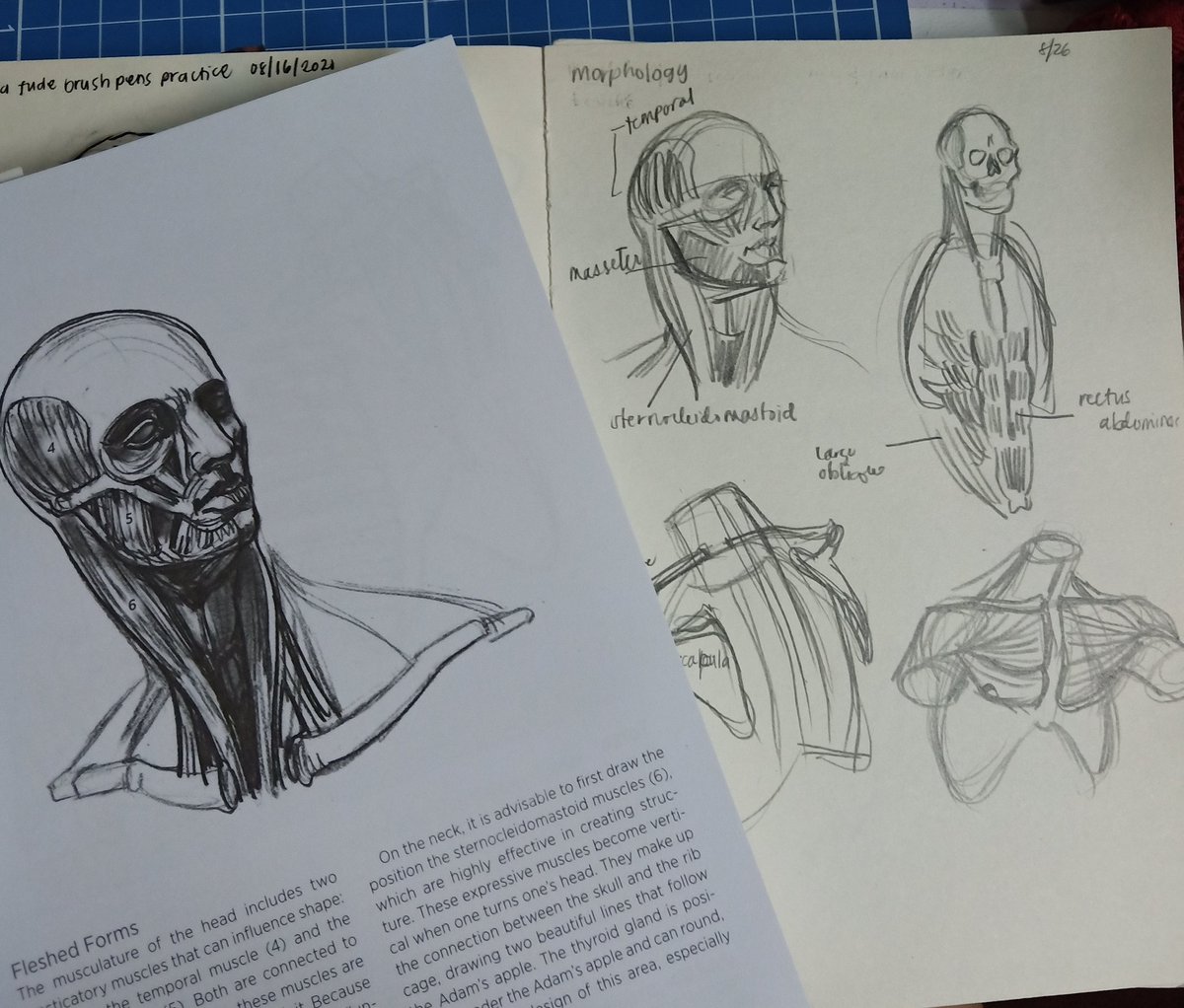I'm learning how to draw Titans jk. It's more of understanding anatomy... and I hope I'm learning something by copying them hehe

Book: Morpho Anatomy for Artists by Michel Lauricella 