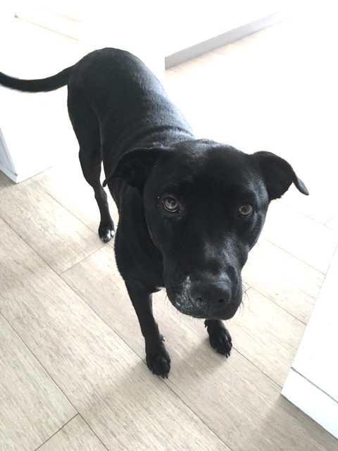 Dr Lina Engelen tweet media