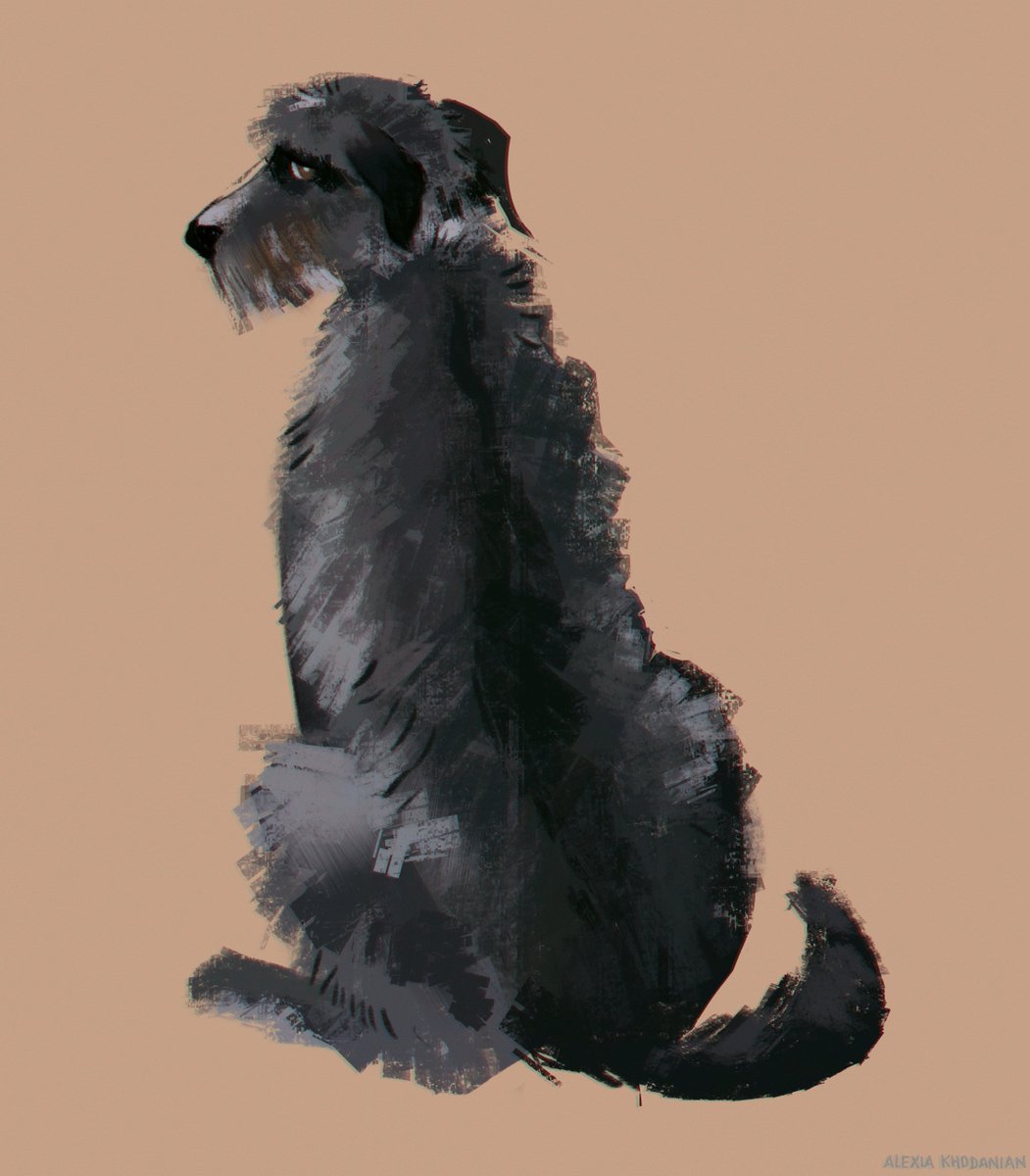  #doggust day 26: Irish Wolfhound! sir you are very large