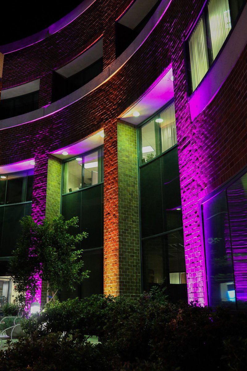 santaclarita's tweet photo. Tonight we commemorate the 100th anniversary of women’s suffrage! As a part of the Women’s Suffrage Centennial Commission’s #ForwardIntoLight Campaign, we have illuminated City Hall with the official suffrage colors of purple and gold to celebrate this historic accomplishment! https://t.co/tJSQ3ZXdGA